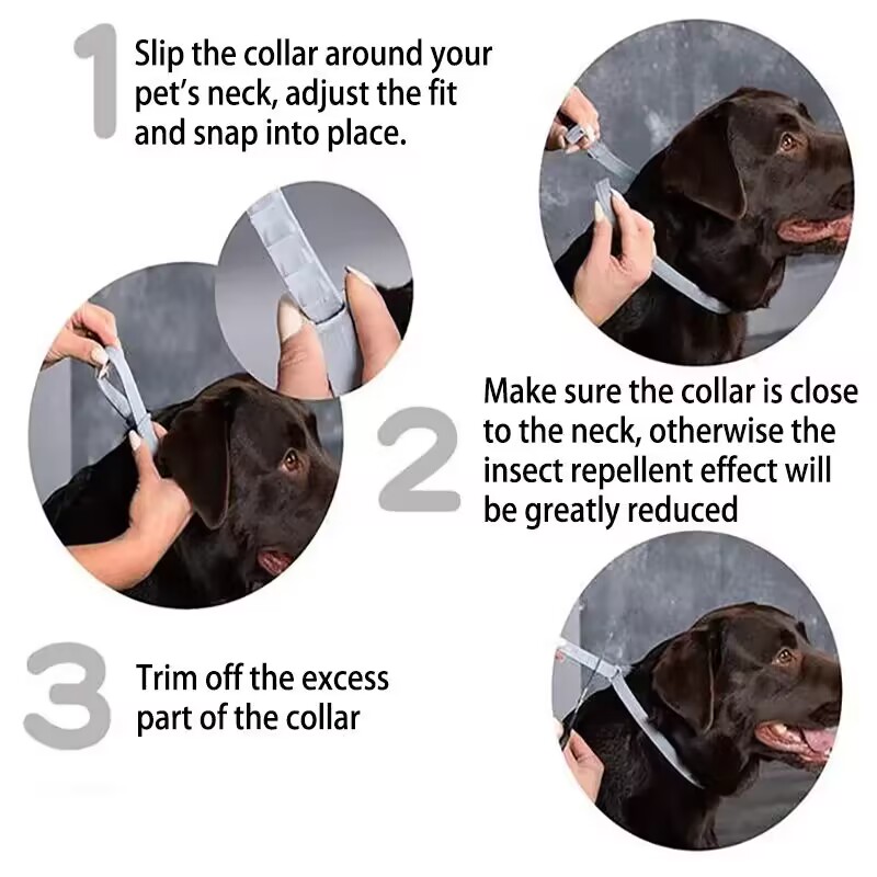 New Releases Dog Collar,Cat An - Pet Immune Pir Sensor recension och pris